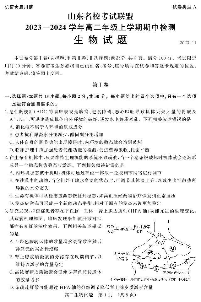 2024山东省名校考试联盟高二上学期11月期中生物试题PDF版含答案01