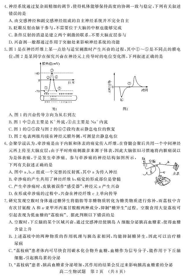 2024山东省名校考试联盟高二上学期11月期中生物试题PDF版含答案02