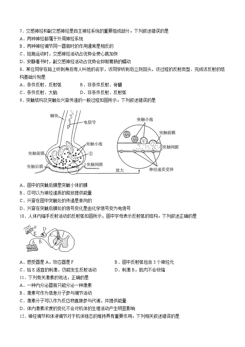 2024雅安多校联考高二上学期期中生物试题无答案02