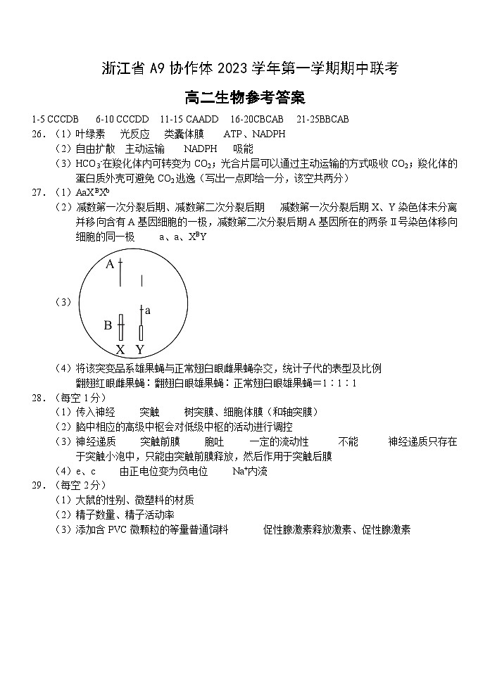 2024浙江省A9协作体高二上学期期中联考生物试题含答案01