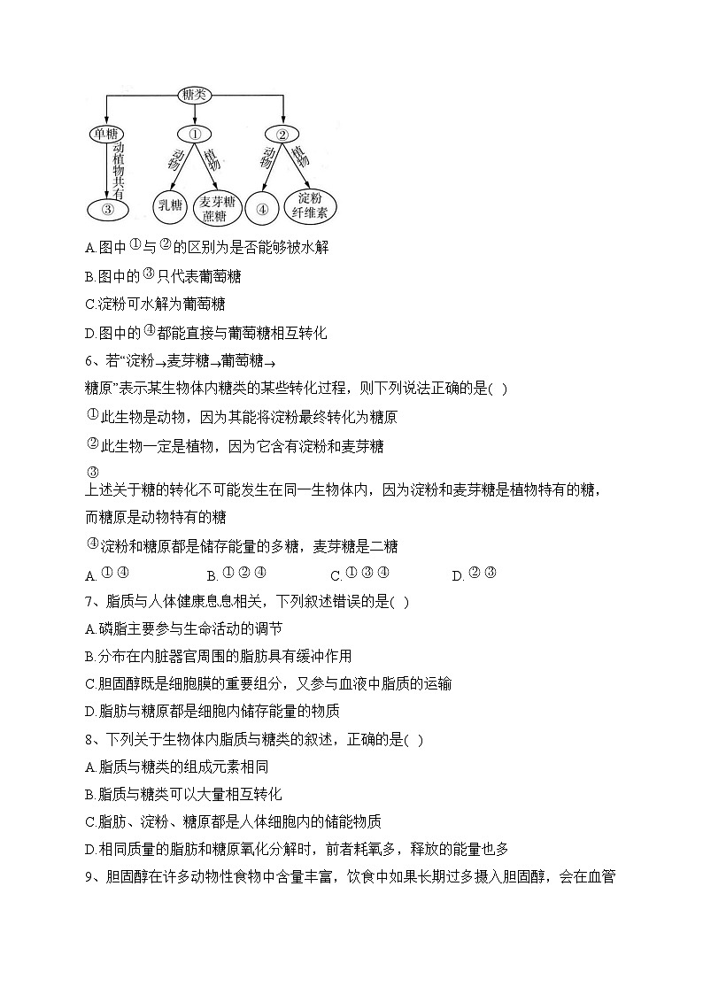 2023-2024学年高一生物人教版必修一（2019） 第二章 第3节 细胞中的糖类和脂质（练习）(含答案)02