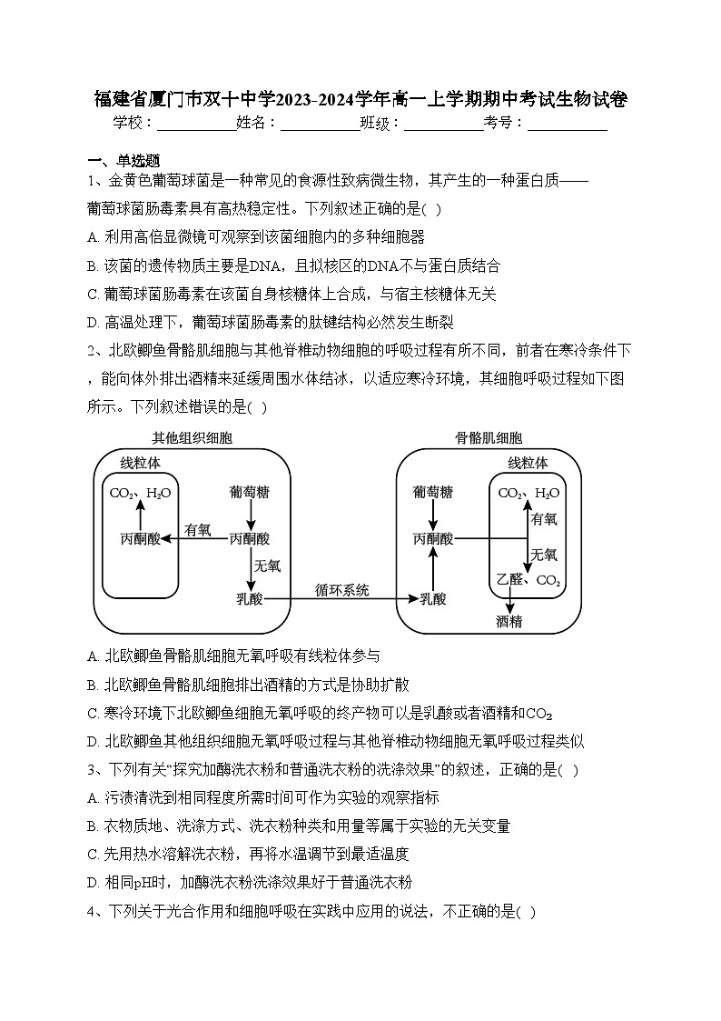 福建省厦门市双十中学2023-2024学年高一上学期期中考试生物试卷(含答案)01