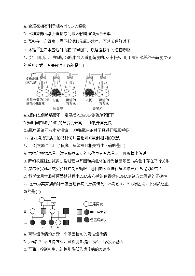 福建省厦门市双十中学2023-2024学年高一上学期期中考试生物试卷(含答案)02