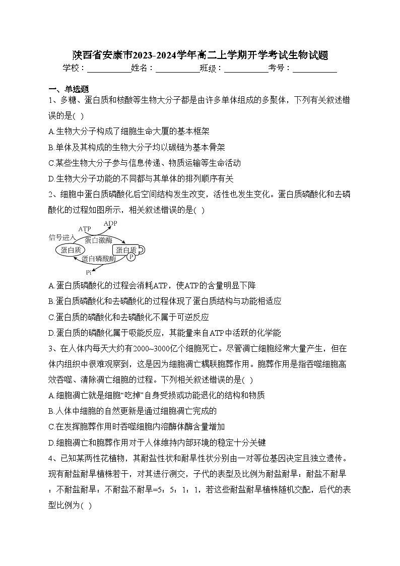 陕西省安康市2023-2024学年高二上学期开学考试生物试题(含答案)01