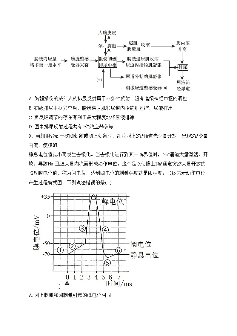 河南省南阳市六校2023-2024学年高二上学期期中考试生物试卷(含答案)03