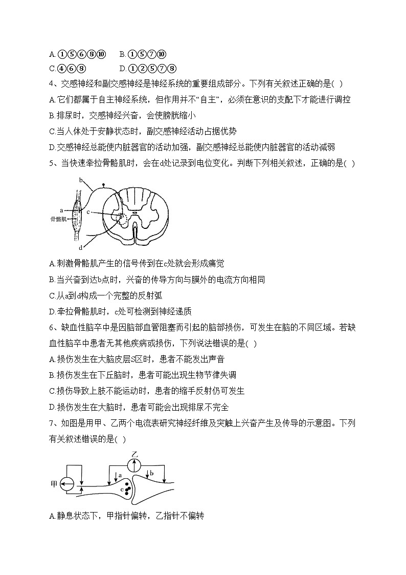 山东省鄄城县第一中学2024届高二上学期10月月考生物试卷(含答案)02