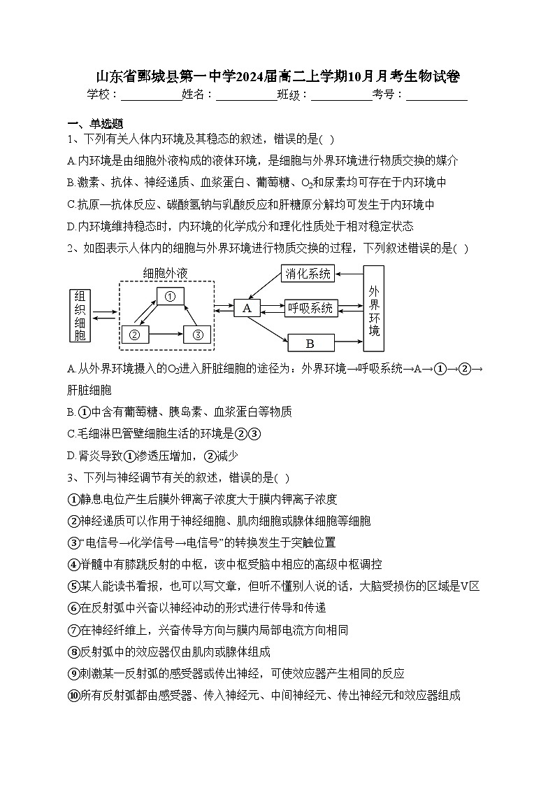 山东省鄄城县第一中学2024届高二上学期10月月考生物试卷(含答案)01
