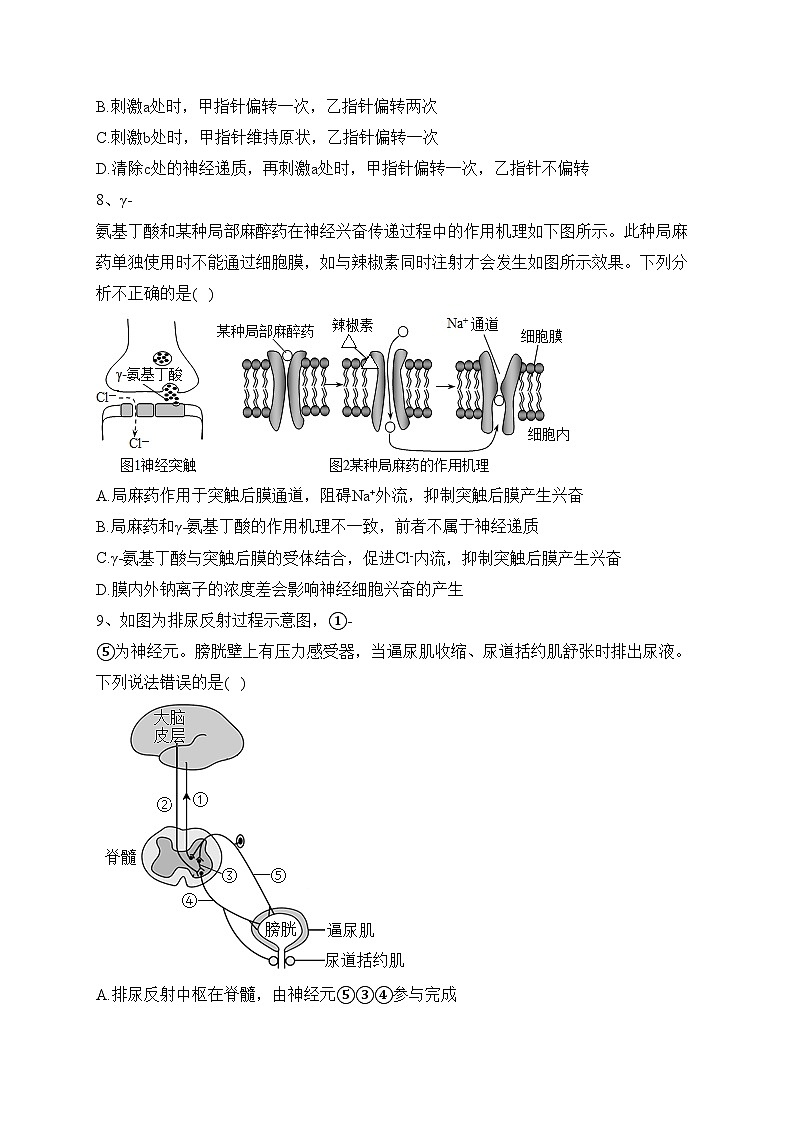 山东省鄄城县第一中学2024届高二上学期10月月考生物试卷(含答案)03