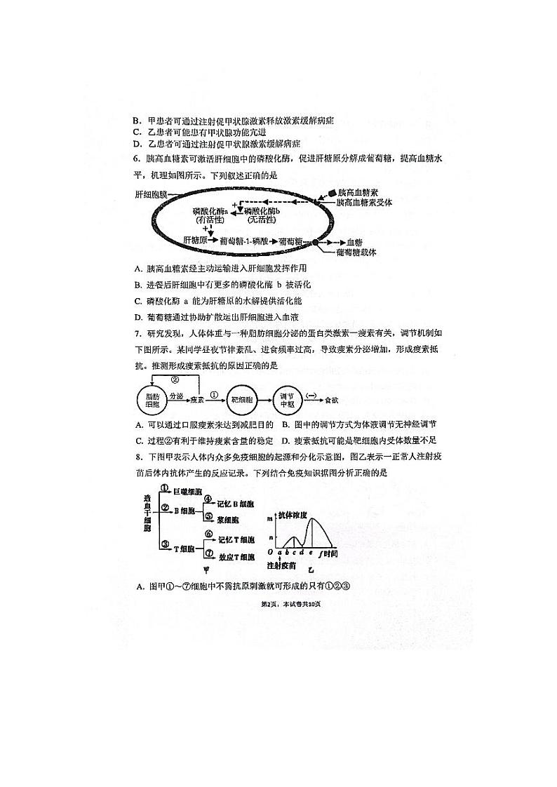江苏省南通市海安市实验中学2023-2024学年高二上学期11月期中生物试题第2页
