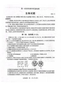 山东省临沂市河东区2023-2024学年高一上学期11月期中生物试题