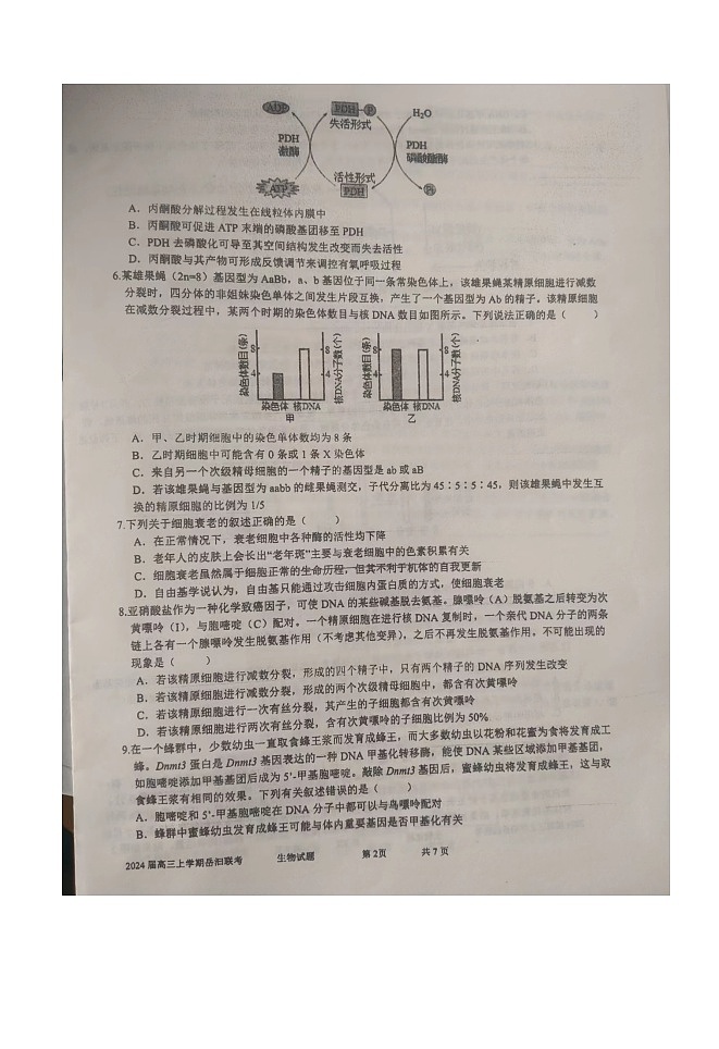湖南省岳阳联考2023-2024学年高三上学期11月期中生物试题第2页