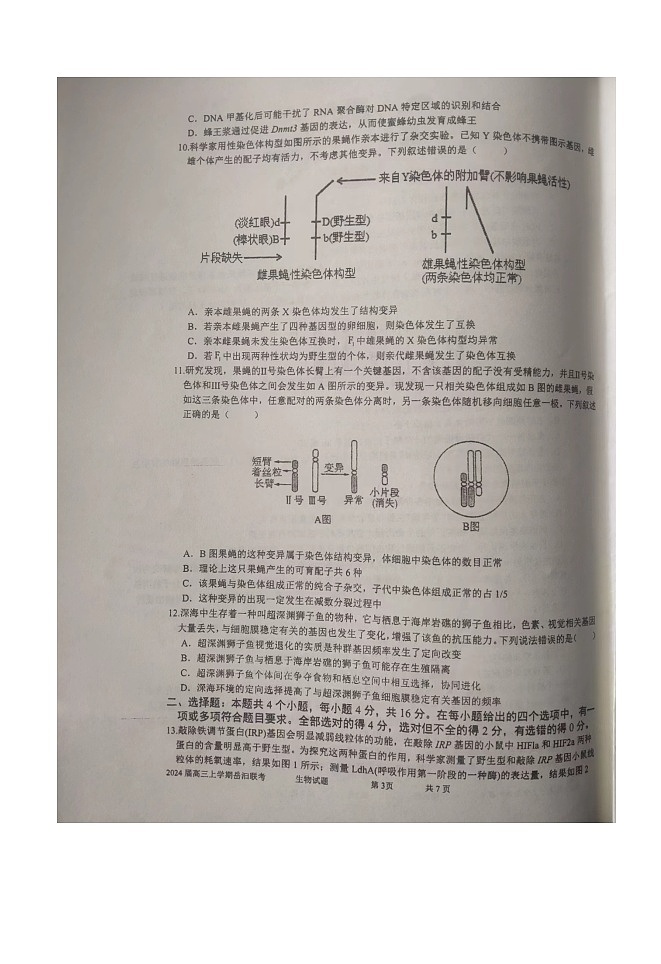 湖南省岳阳联考2023-2024学年高三上学期11月期中生物试题第3页