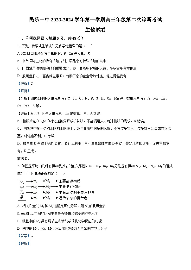 甘肃省民乐县第一中学2023-2024学年高三生物上学期期中考试试题（Word版附解析）01