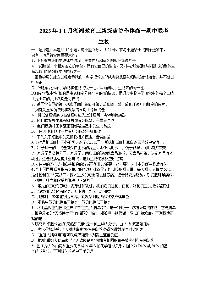 湖南省湖湘教育三新探索协作体2023-2024学年高一生物上学期11月期中联考试题（Word版附解析）01