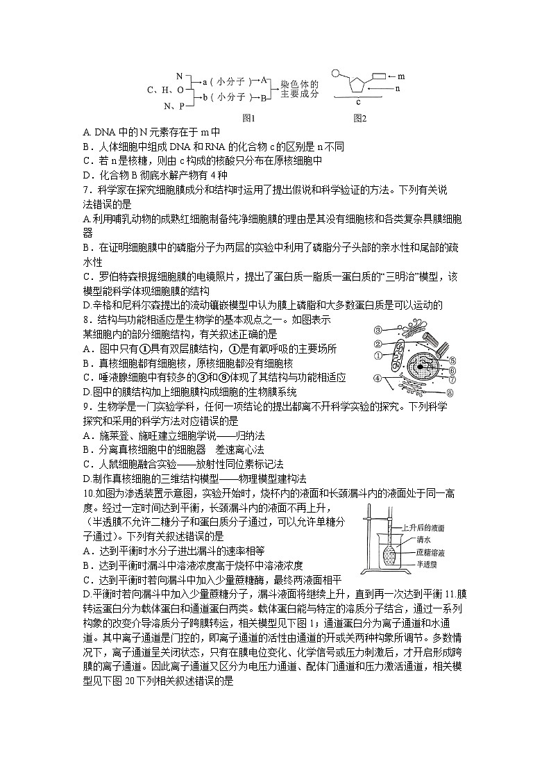 湖南省湖湘教育三新探索协作体2023-2024学年高一生物上学期11月期中联考试题（Word版附解析）02