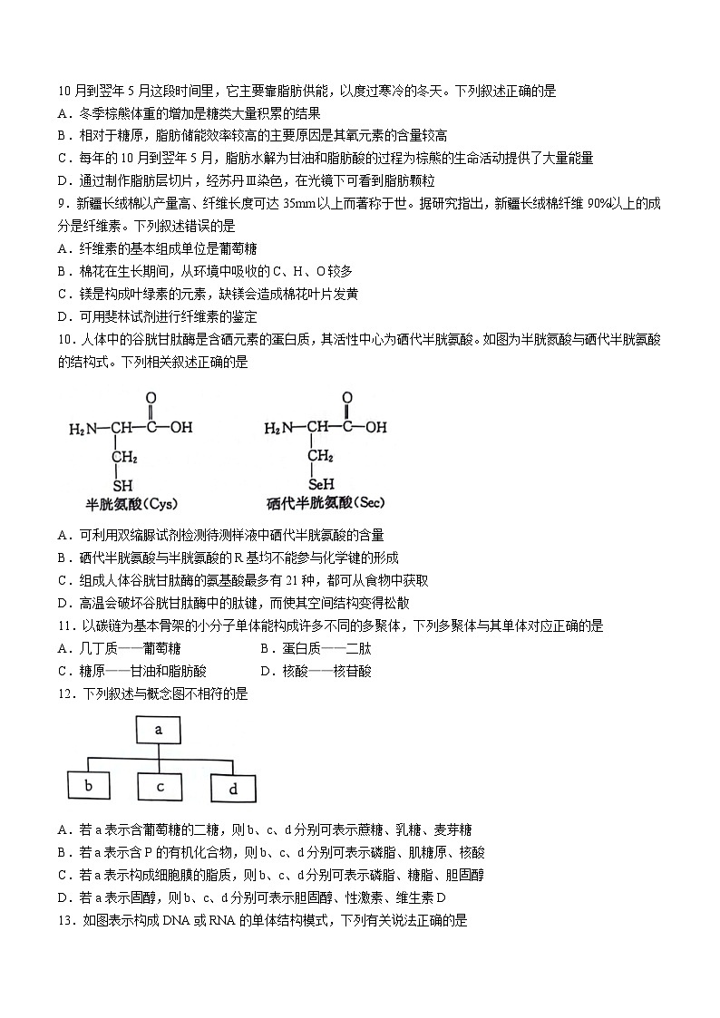 浙江省宁波市金兰教育合作组织2023-2024学年高一上学期期中联考生物试题（Word版附答案）02