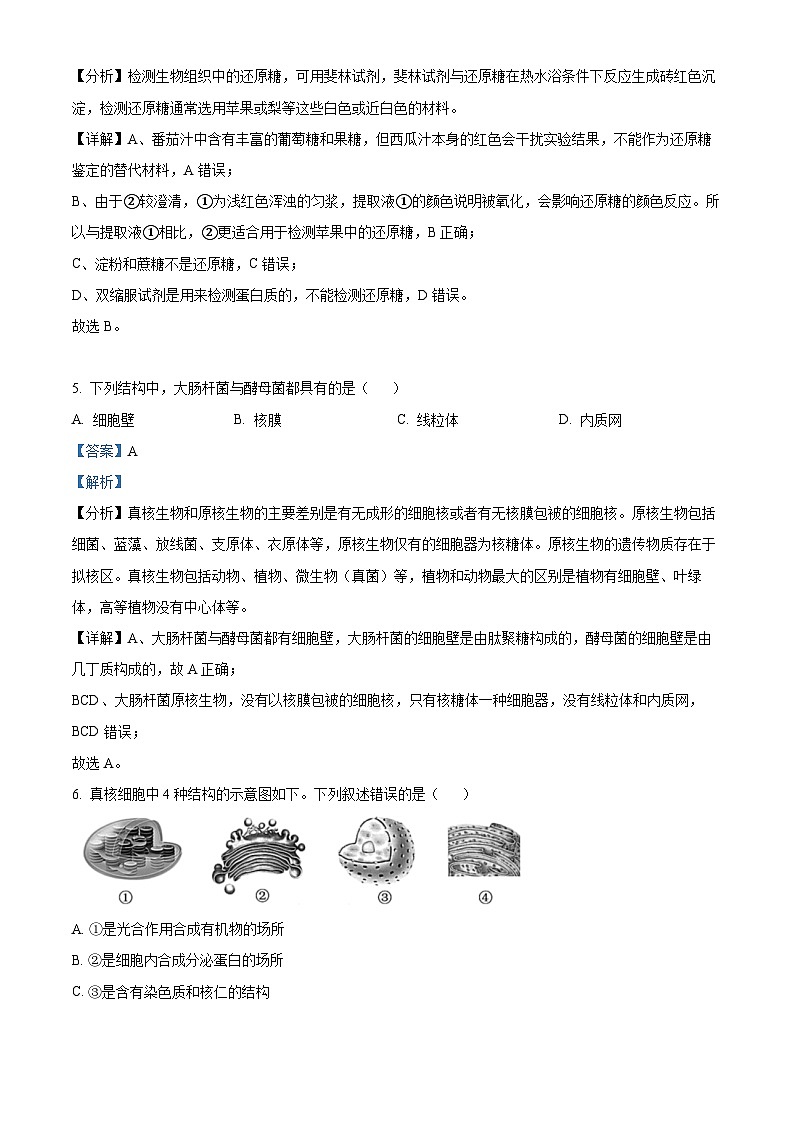 浙江省浙东北联盟（ZDB）2023-2024学年高一上学期期中生物试题（Word版附解析）第3页
