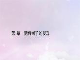 新教材适用2023_2024学年高中生物第1章遗传因子的发现第1节孟德尔的豌豆杂交实验一第2课时性状分离比的模拟实验对分离现象解释的验证和分离定律的内容课件新人教版必修2