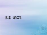 新教材适用2023_2024学年高中生物第2章细胞工程第2节动物细胞工程第2课时动物细胞融合技术与单克鹿体课件新人教版选择性必修3