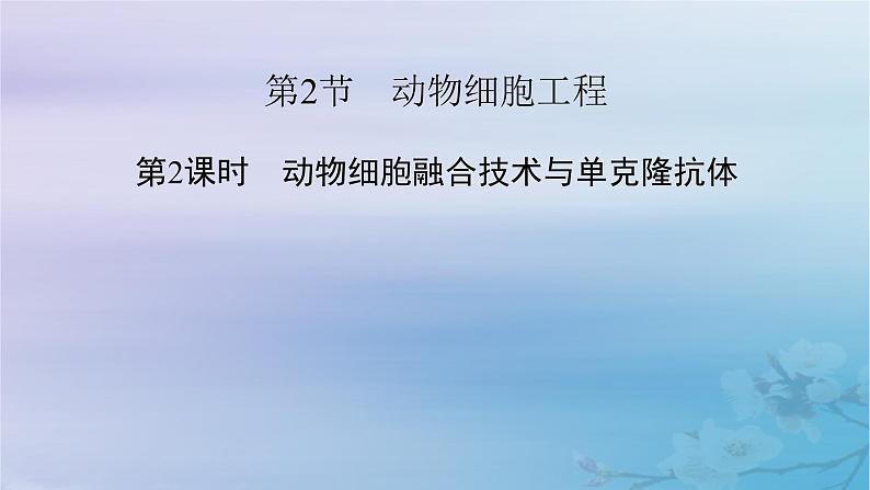 新教材适用2023_2024学年高中生物第2章细胞工程第2节动物细胞工程第2课时动物细胞融合技术与单克鹿体课件新人教版选择性必修302