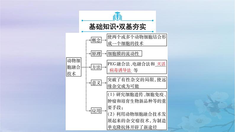 新教材适用2023_2024学年高中生物第2章细胞工程第2节动物细胞工程第2课时动物细胞融合技术与单克鹿体课件新人教版选择性必修305