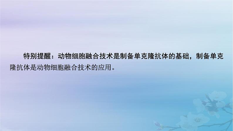 新教材适用2023_2024学年高中生物第2章细胞工程第2节动物细胞工程第2课时动物细胞融合技术与单克鹿体课件新人教版选择性必修306