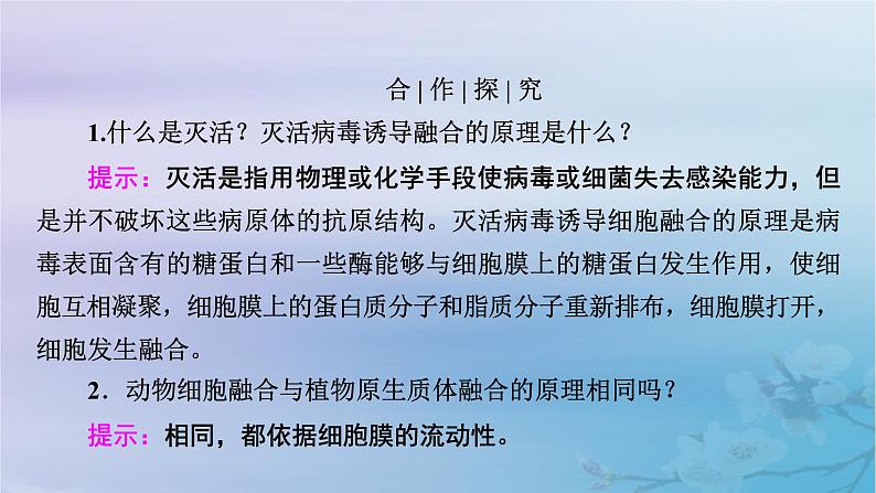 新教材适用2023_2024学年高中生物第2章细胞工程第2节动物细胞工程第2课时动物细胞融合技术与单克鹿体课件新人教版选择性必修308