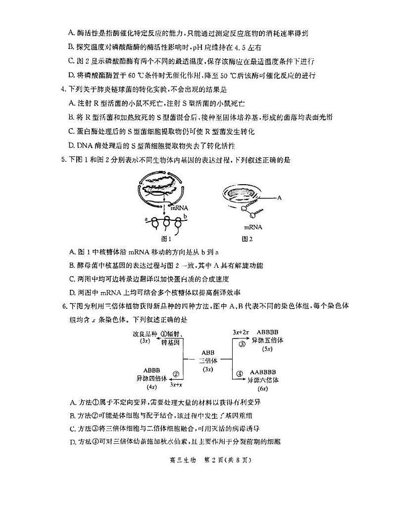 河北沧州2023年部分学校10月联考 生物试题（含答案）02