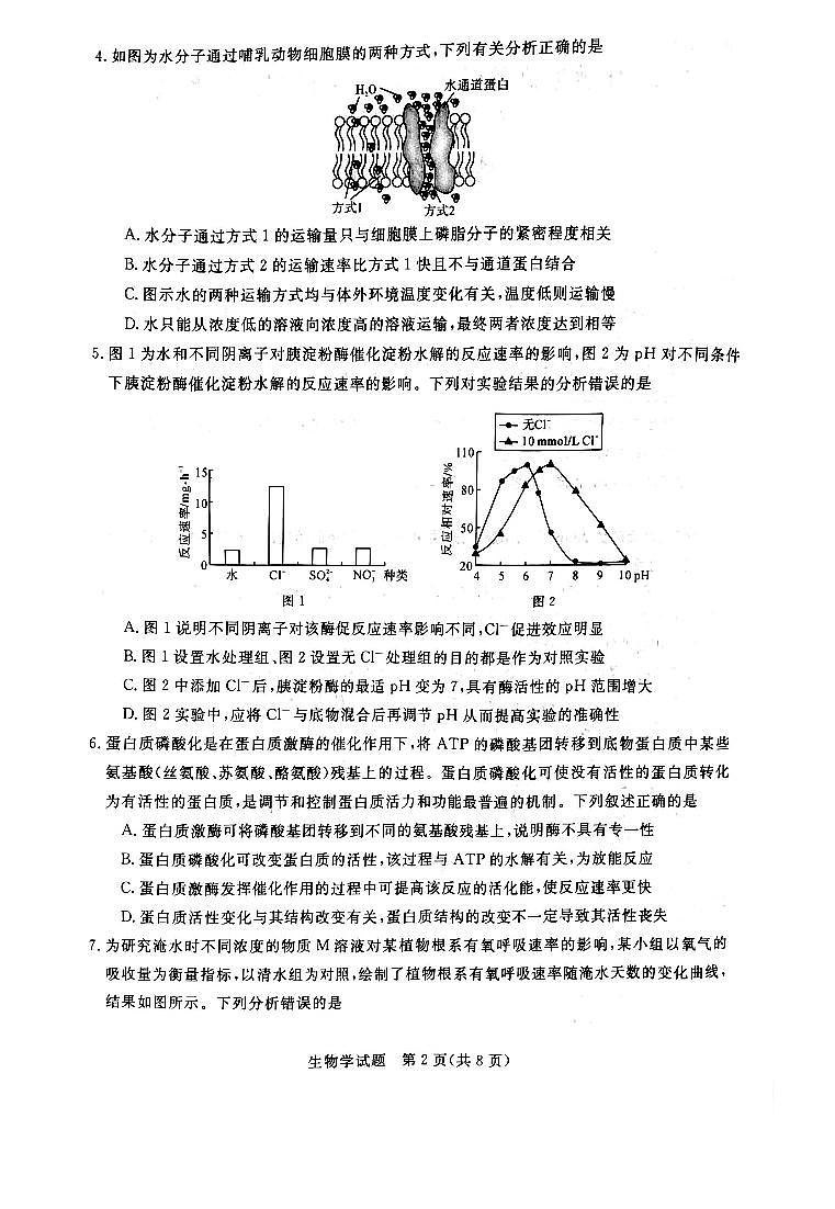 河南2023年联考高三10月考试 生物试题（含答案）第2页