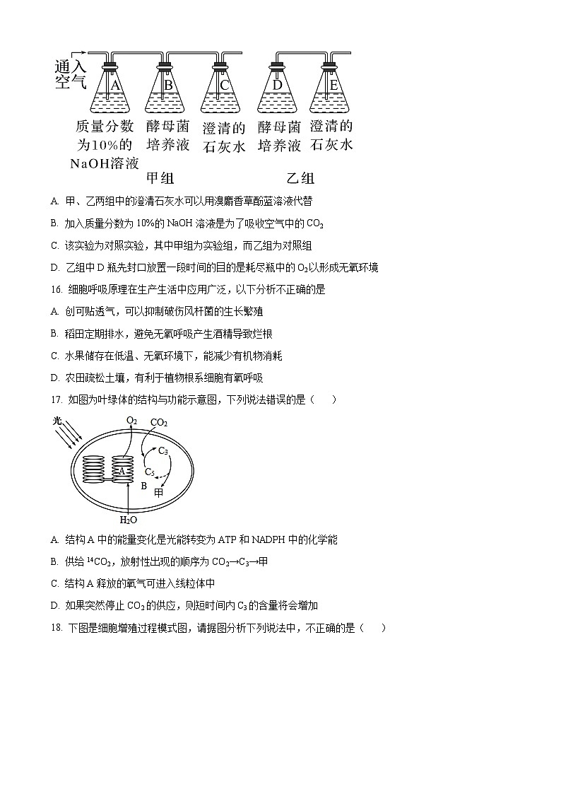 宁夏固原市第五中学2023-2024学年高三上学期第一次月考生物试题（原卷版）第3页