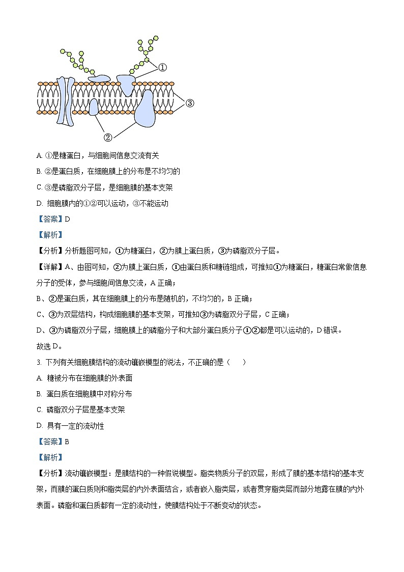内蒙古通辽市科尔沁左翼中旗实验高级中学2023-2024学年高三上学期第一次月考生物试题含解析第2页