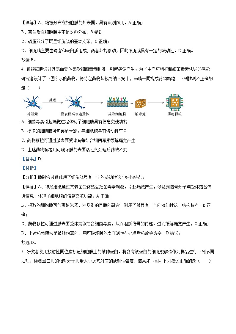 内蒙古通辽市科尔沁左翼中旗实验高级中学2023-2024学年高三上学期第一次月考生物试题含解析第3页