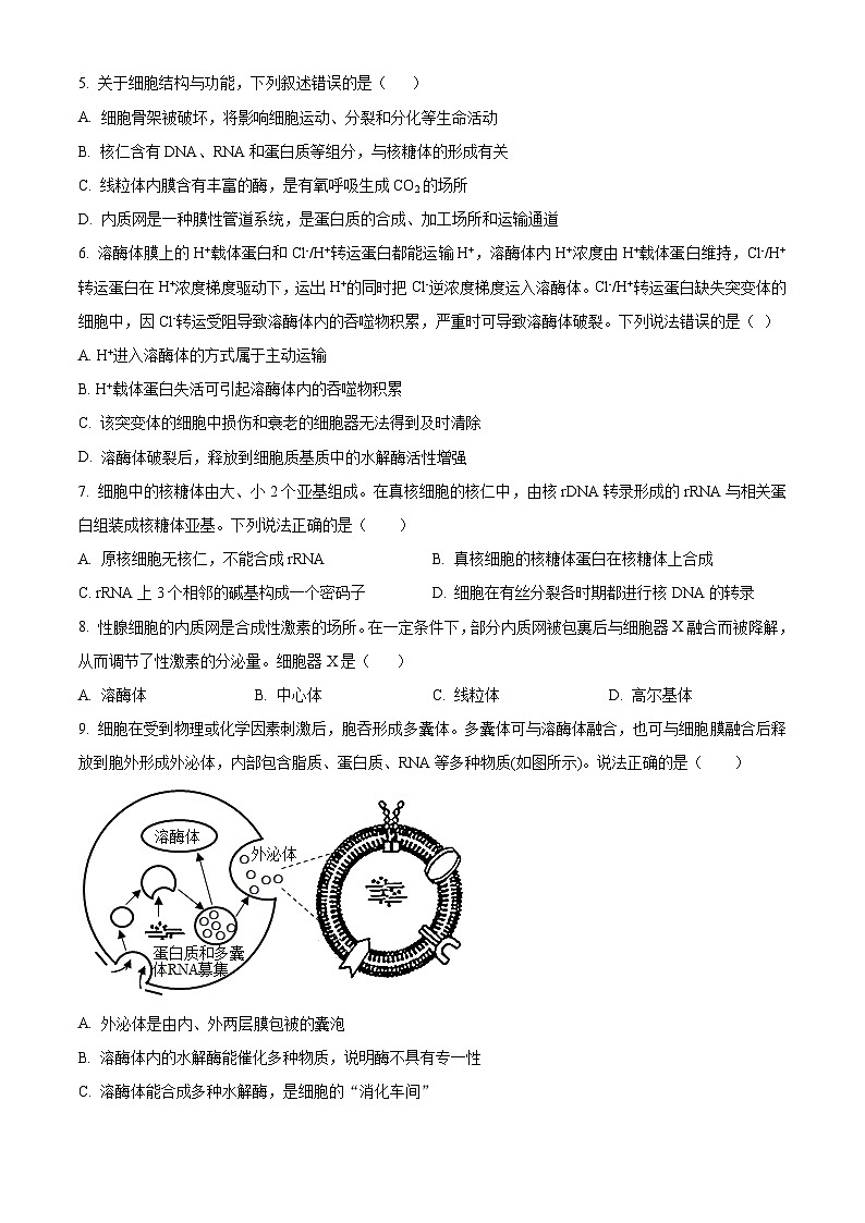 新疆石河子第一中学2023-2024学年高三上学期9月月考生物试题（原卷版）第2页