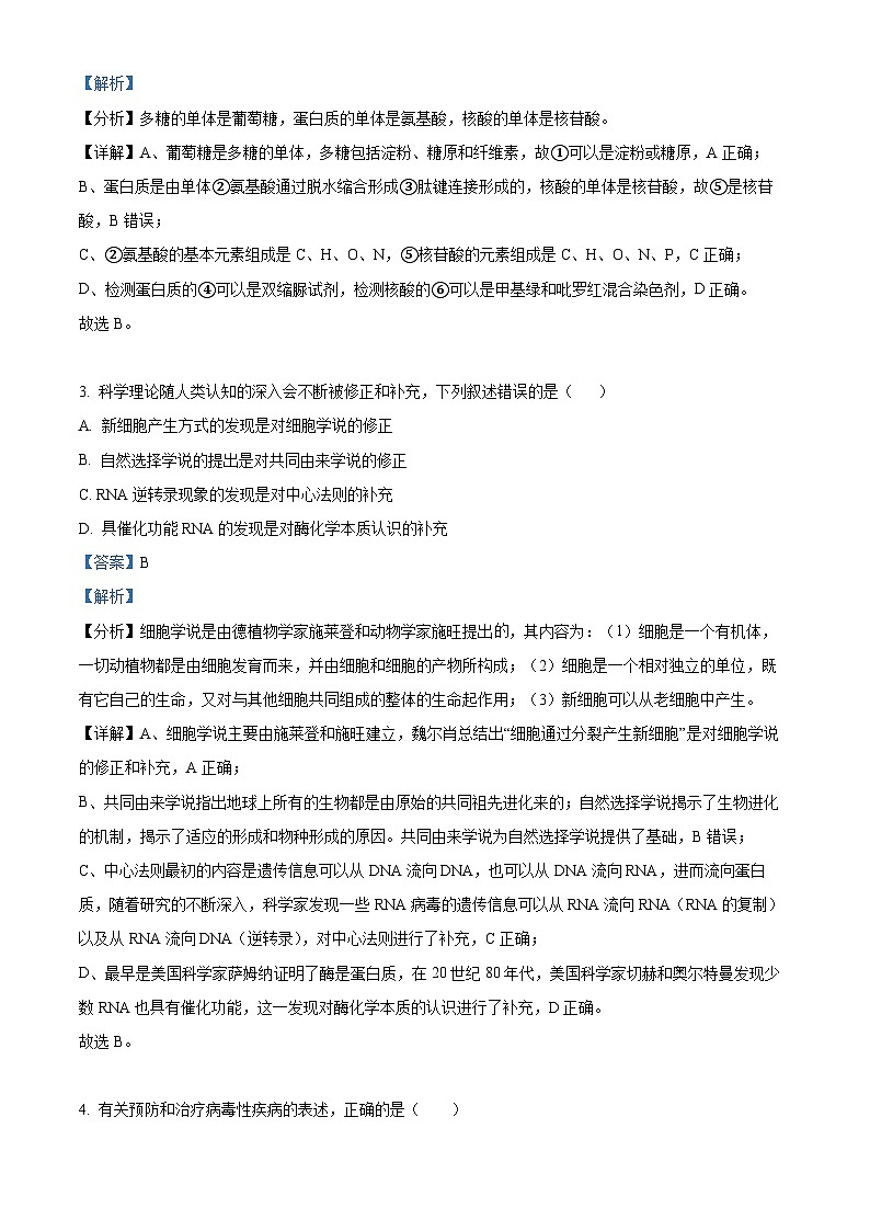 新疆石河子第一中学2023-2024学年高三上学期9月月考生物试题含解析第2页
