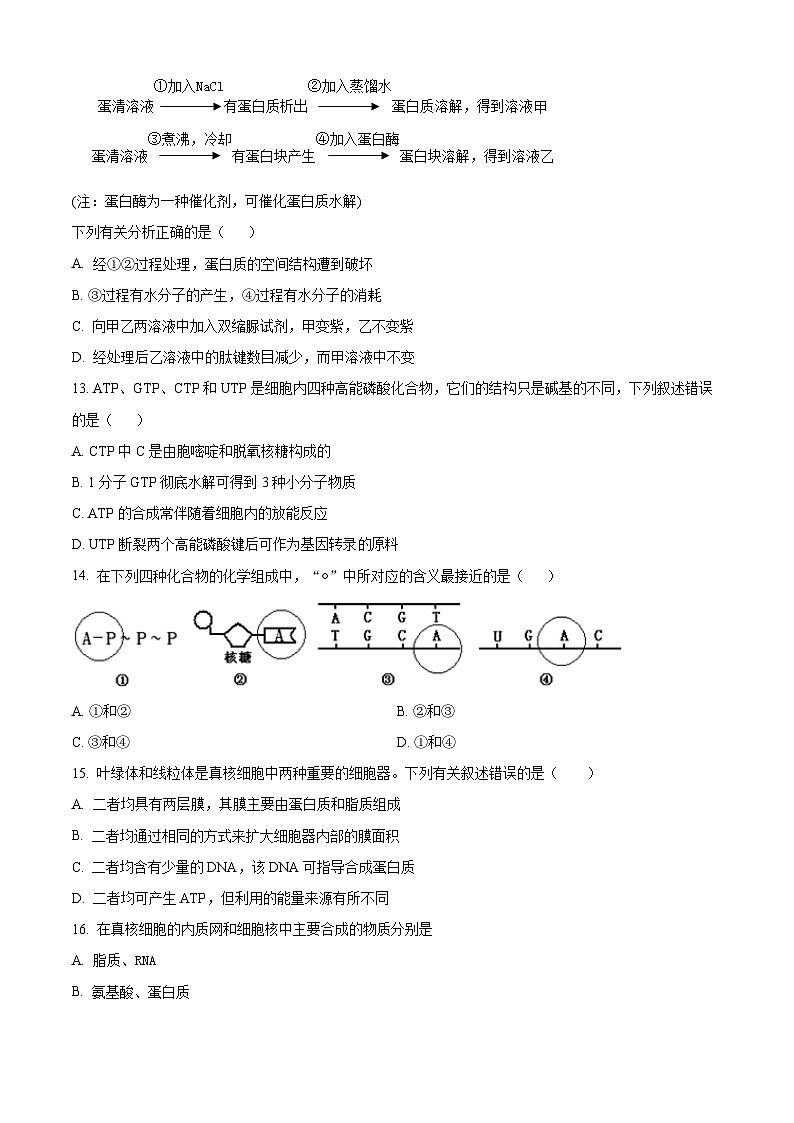 2024银川贺兰县景博中学高三上学期第一次月考生物试题含解析03