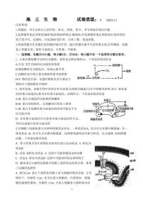 2024潍坊高三上学期期中考试生物PDF版含答案