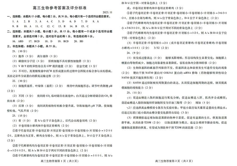 2024潍坊高三上学期期中考试生物PDF版含答案01