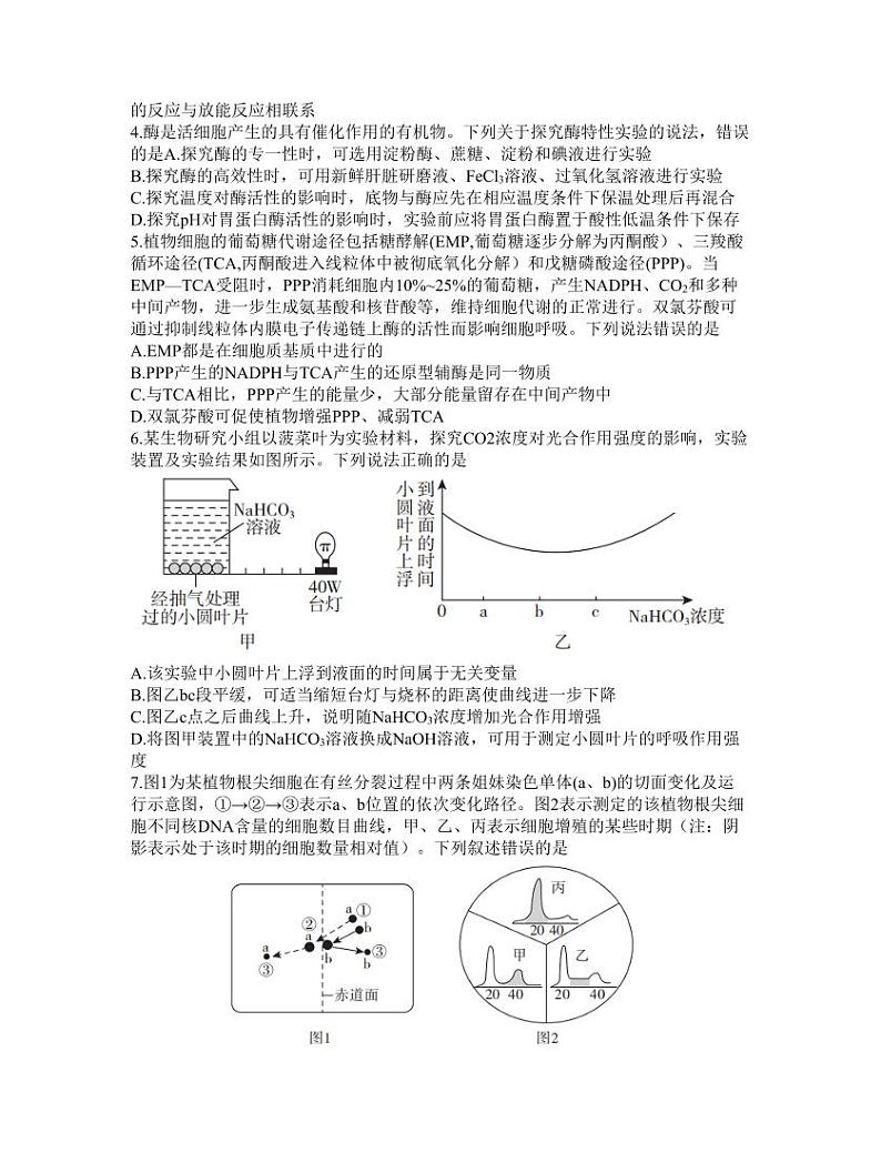2024临沂高三上学期11月教学质量检测考试生物PDF版含答案02