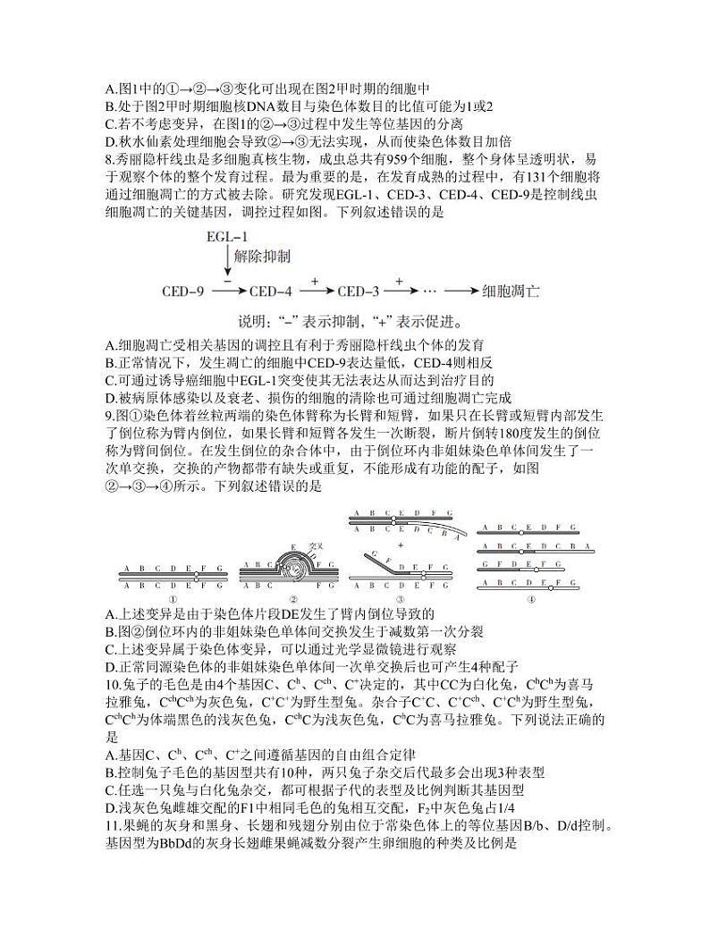 2024临沂高三上学期11月教学质量检测考试生物PDF版含答案03