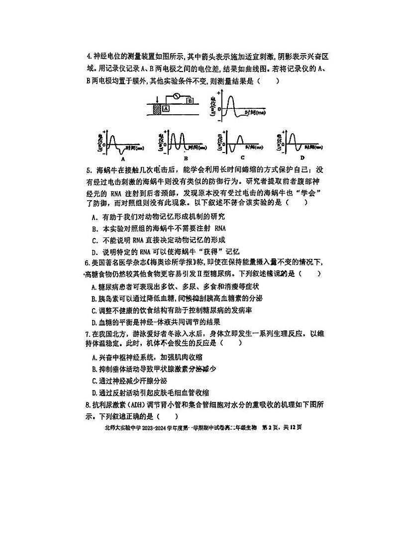 北京师范大学附属实验中学2023-2024学年高二上学期期中生物试题02