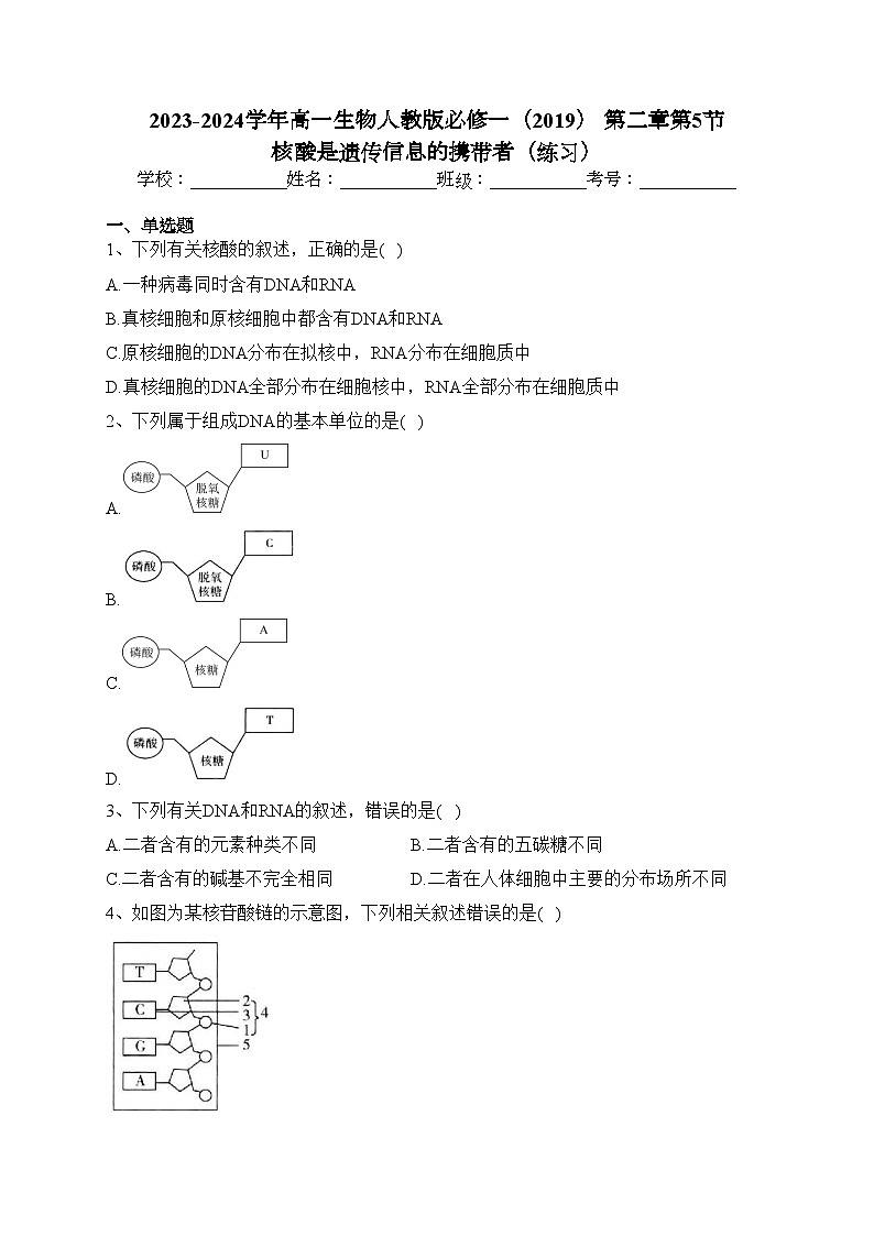 2023-2024学年高一生物人教版必修一（2019） 第二章第5节 核酸是遗传信息的携带者（练习）(含答案)第1页