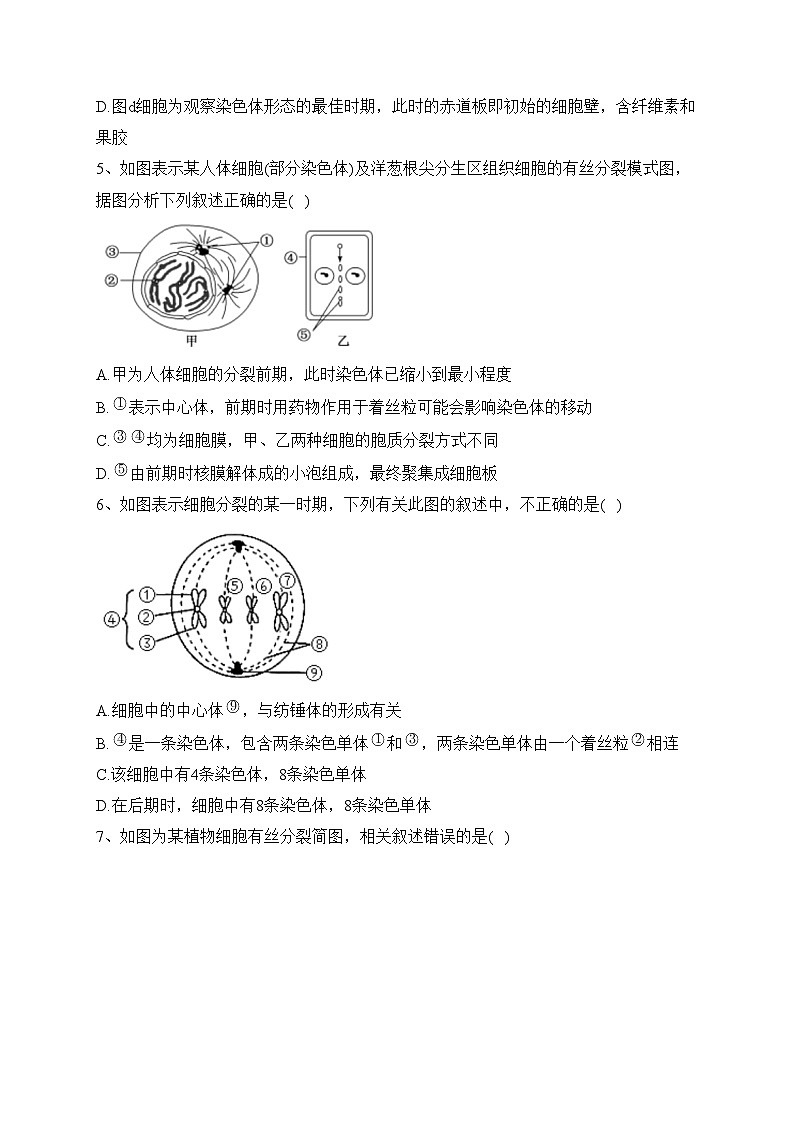 2023-2024学年高一生物人教版必修一（2019） 第六章 第1节 细胞的增殖课时一（练习）(含答案)第2页