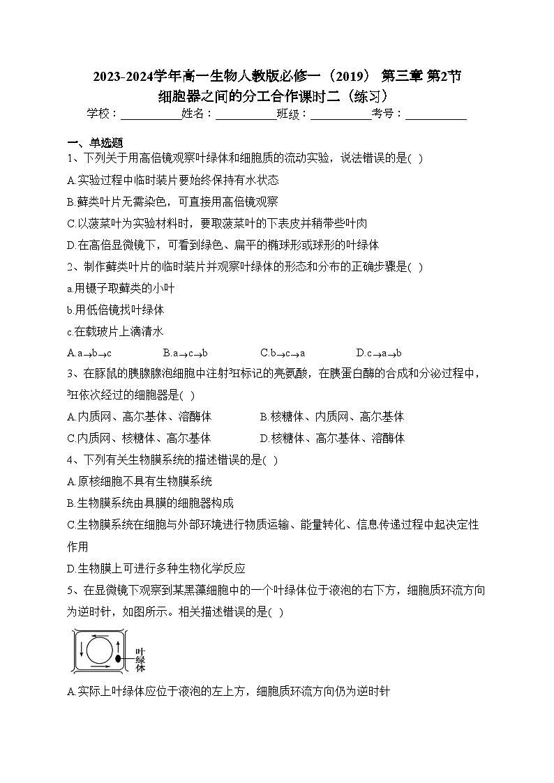 2023-2024学年高一生物人教版必修一（2019） 第三章 第2节 细胞器之间的分工合作课时二（练习）(含答案)第1页