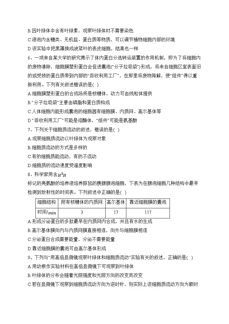 2023-2024学年高一生物人教版必修一（2019） 第三章 第2节 细胞器之间的分工合作课时二（练习）(含答案)第2页