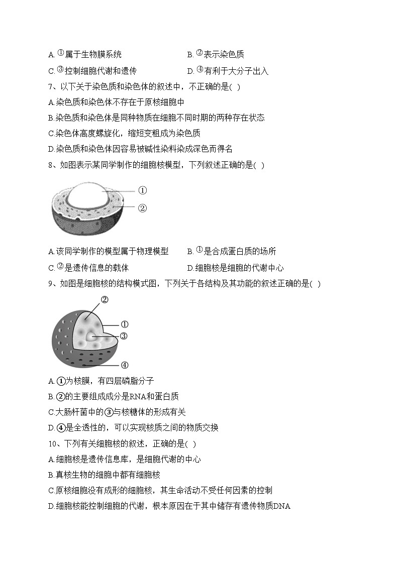 2023-2024学年高一生物人教版必修一（2019） 第三章 第3节 细胞核的结构和功能（练习）(含答案)03