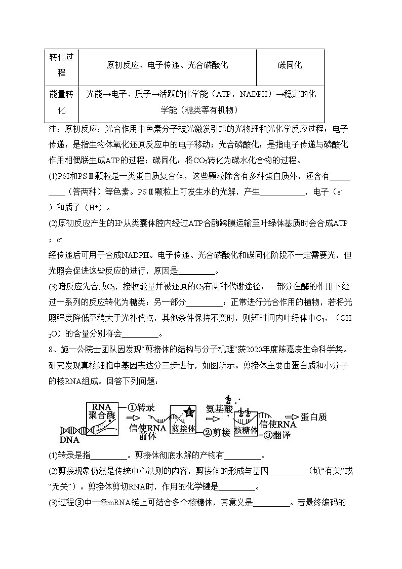 2023届吉林省通化市梅河口市五中高三一模理综生物试题(含答案)03