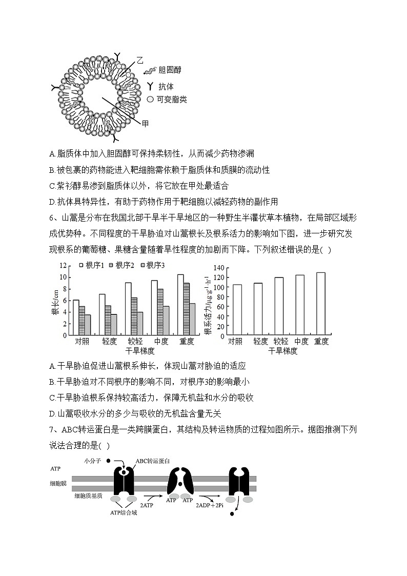 吉林省吉林地区2023-2024学年高三上学期第一次模拟考试生物试题(含答案)第2页