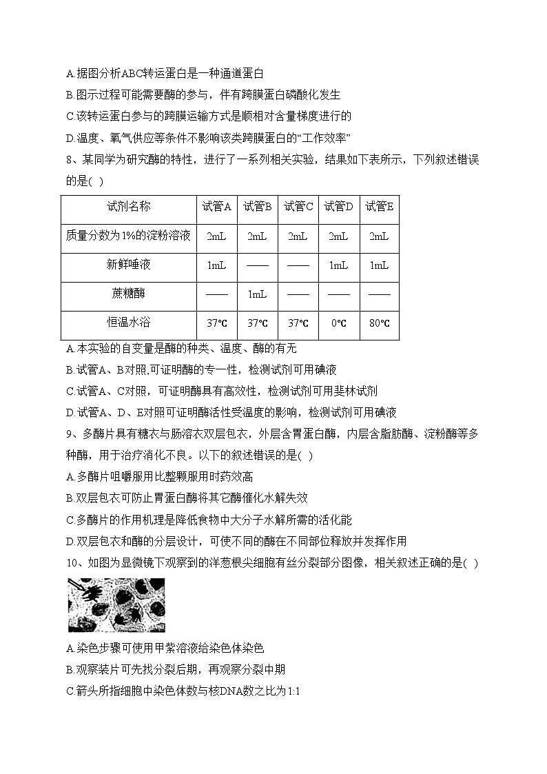 吉林省吉林地区2023-2024学年高三上学期第一次模拟考试生物试题(含答案)第3页