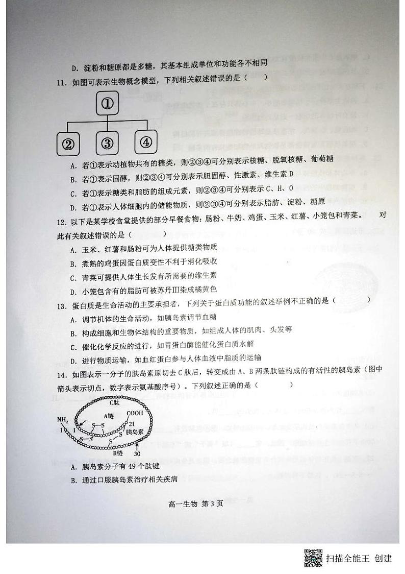 广西钦州市浦北县2023-2024学年高一上学期期中考试生物试题第3页