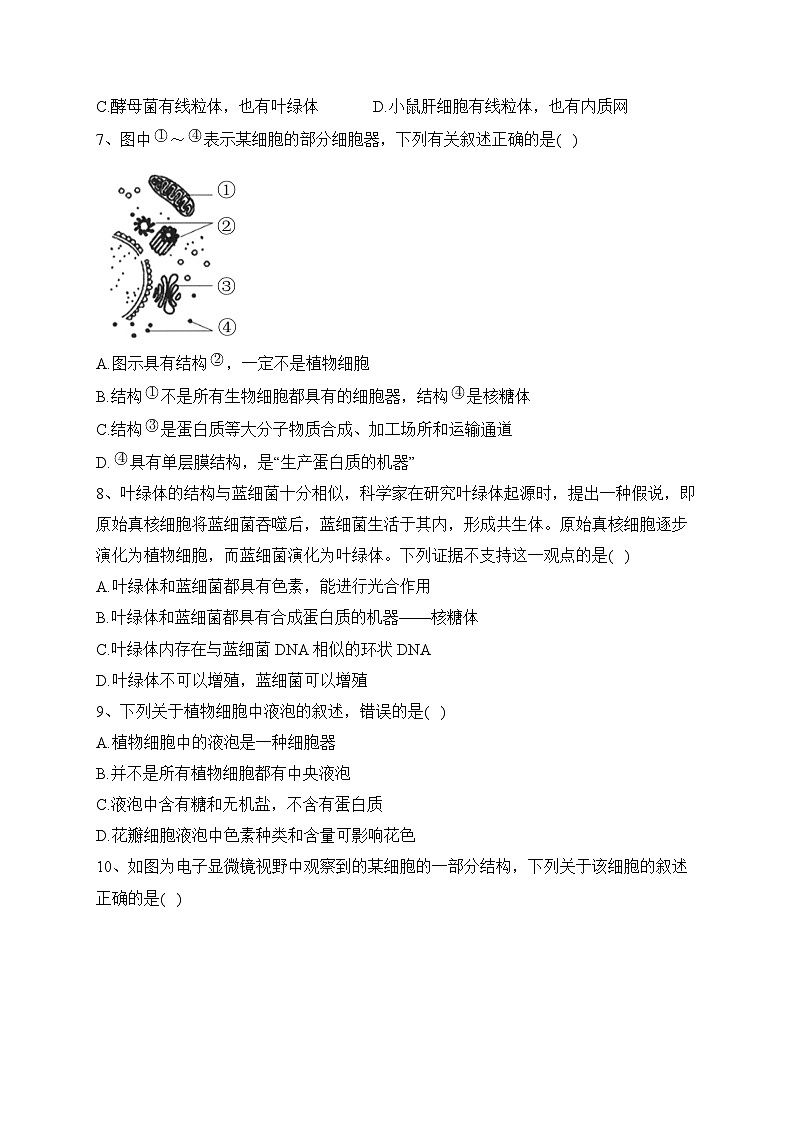 3.2细胞器之间的分工合作课时一同步练习2023-2024学年高一上学期生物人教版必修1第2页